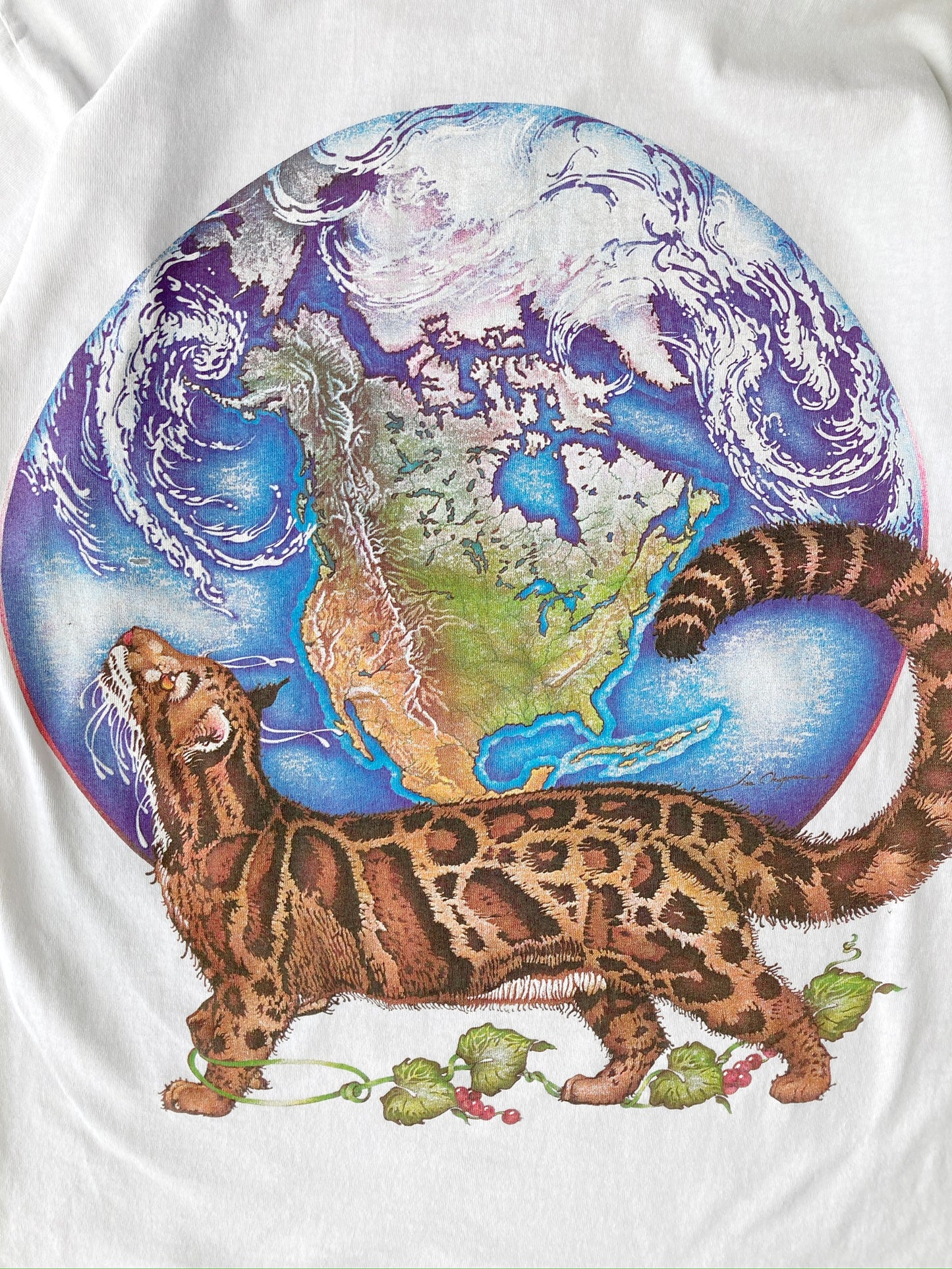 Rain Forest T-Shirt 90's - Medium