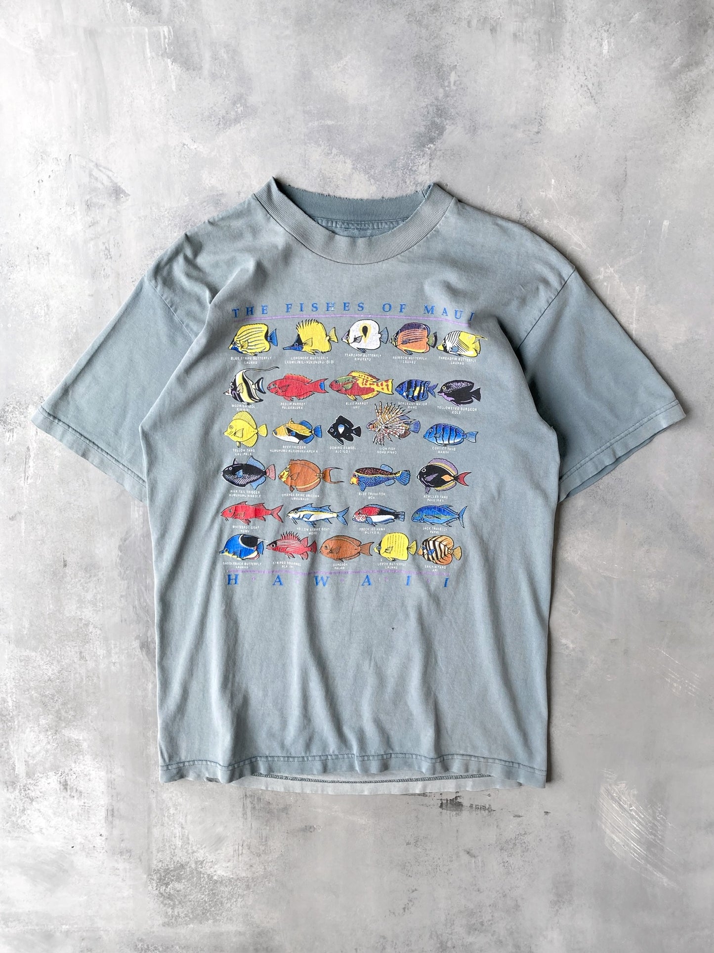 Fishes of Maui T-Shirt 00's - Large