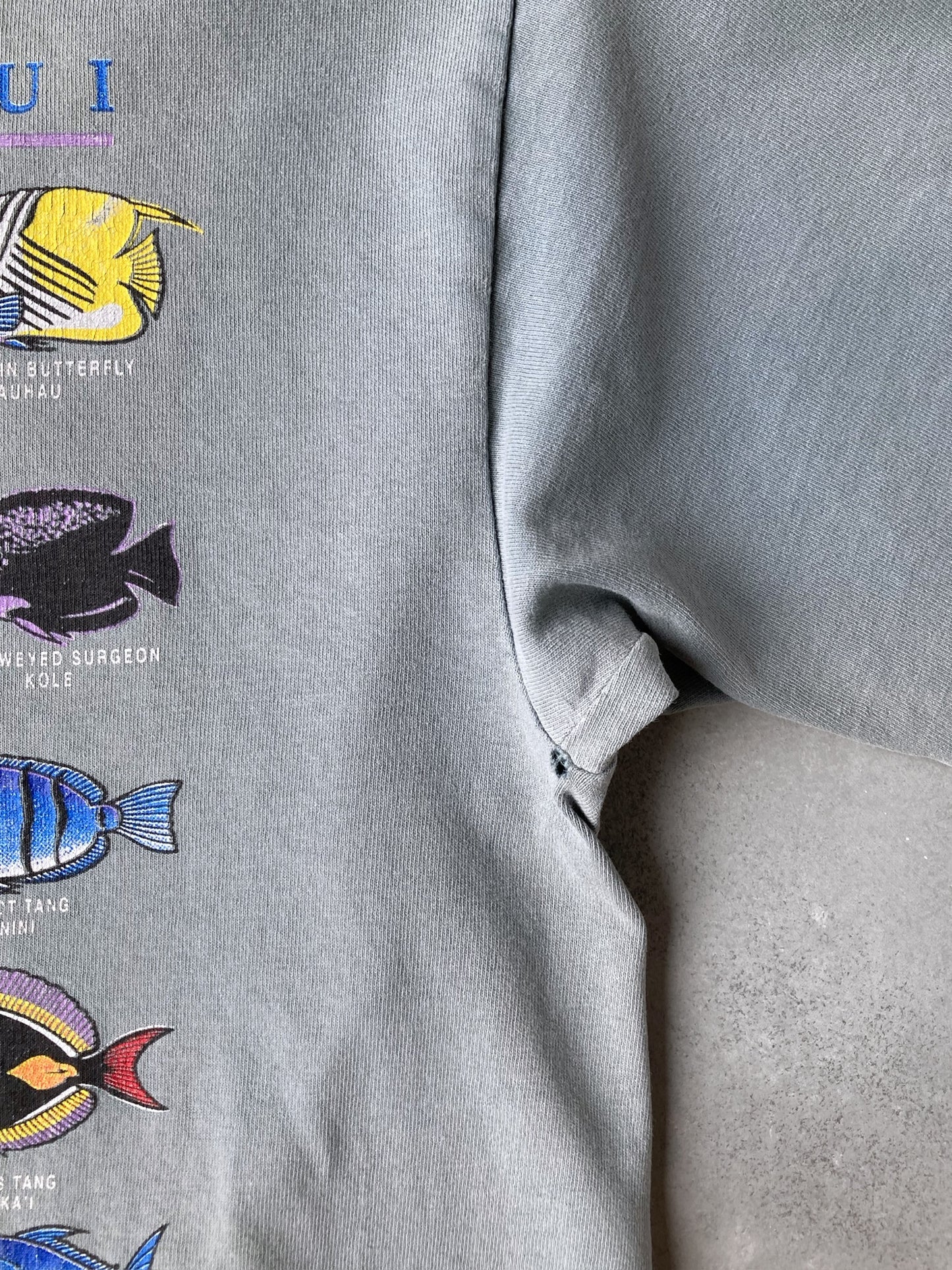 Fishes of Maui T-Shirt 00's - Large