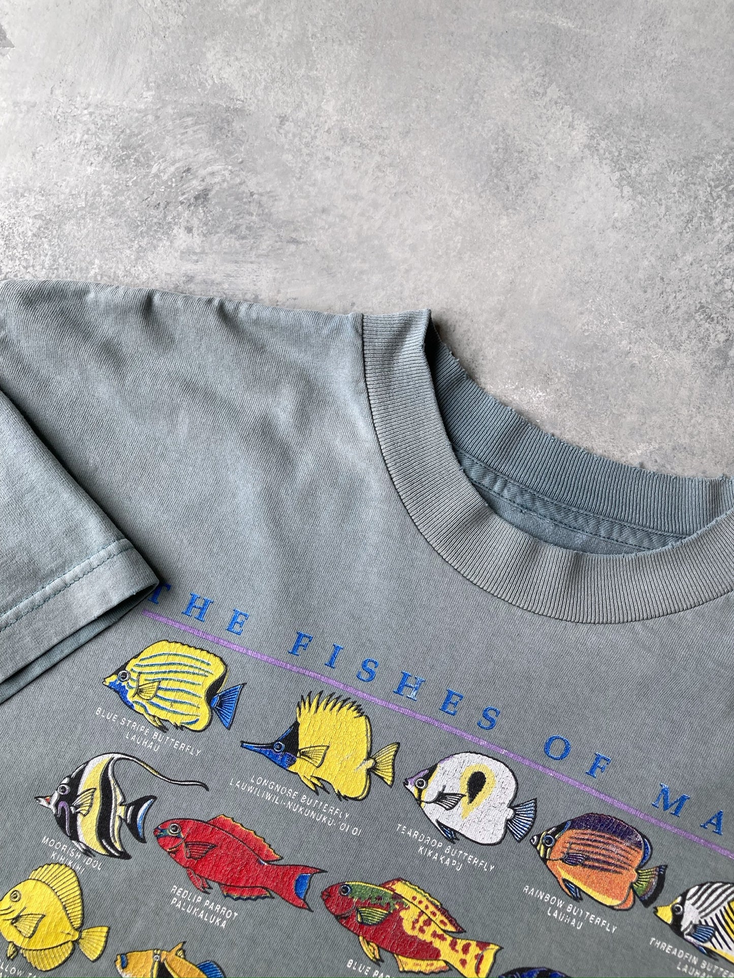Fishes of Maui T-Shirt 00's - Large