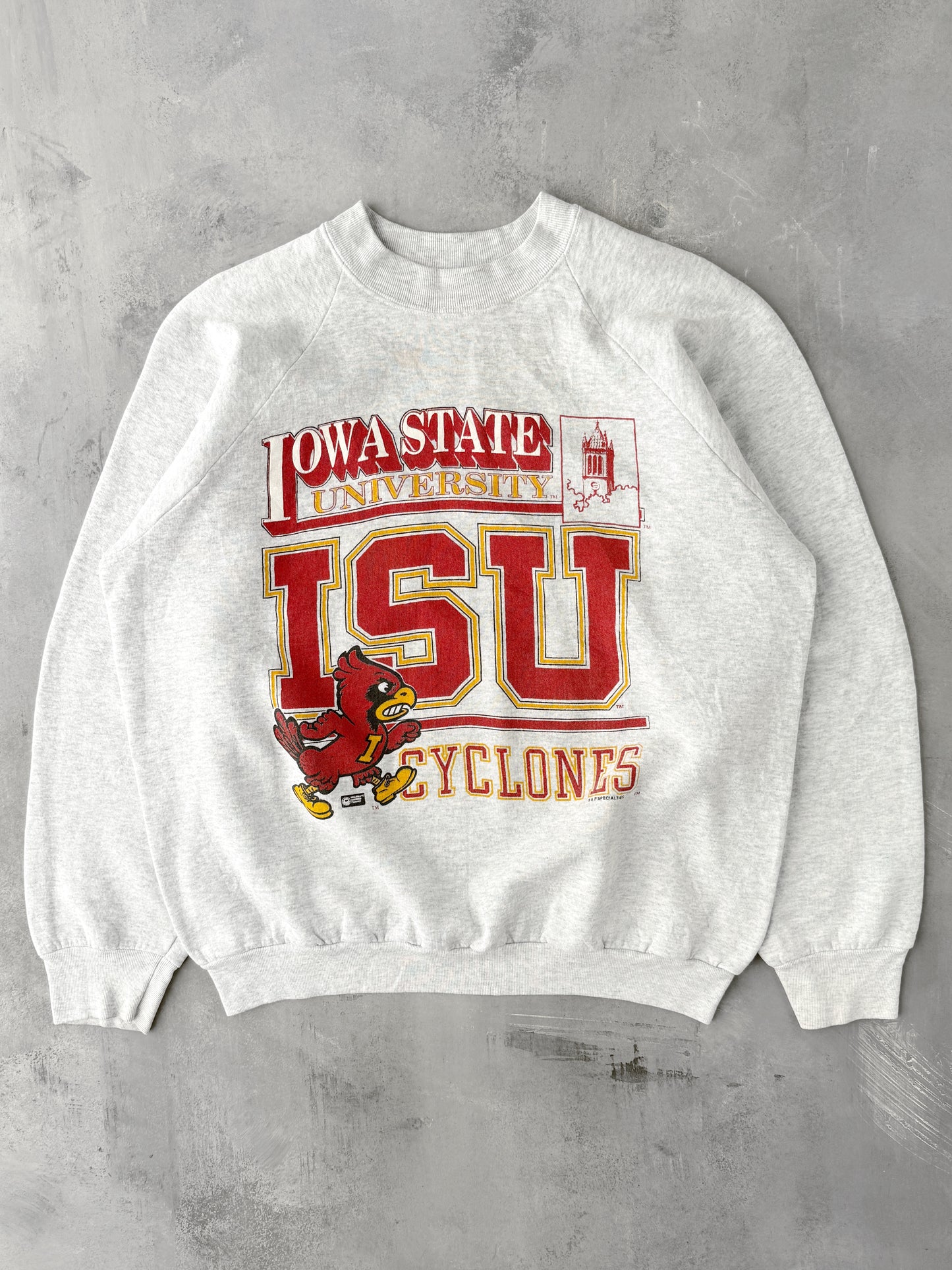 Iowa State University Sweatshirt 90's - Large