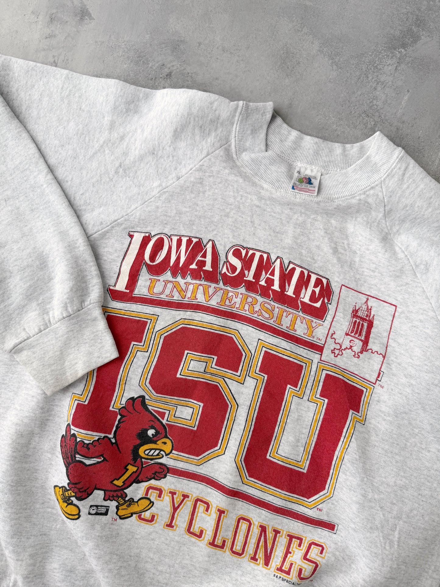 Iowa State University Sweatshirt 90's - Large