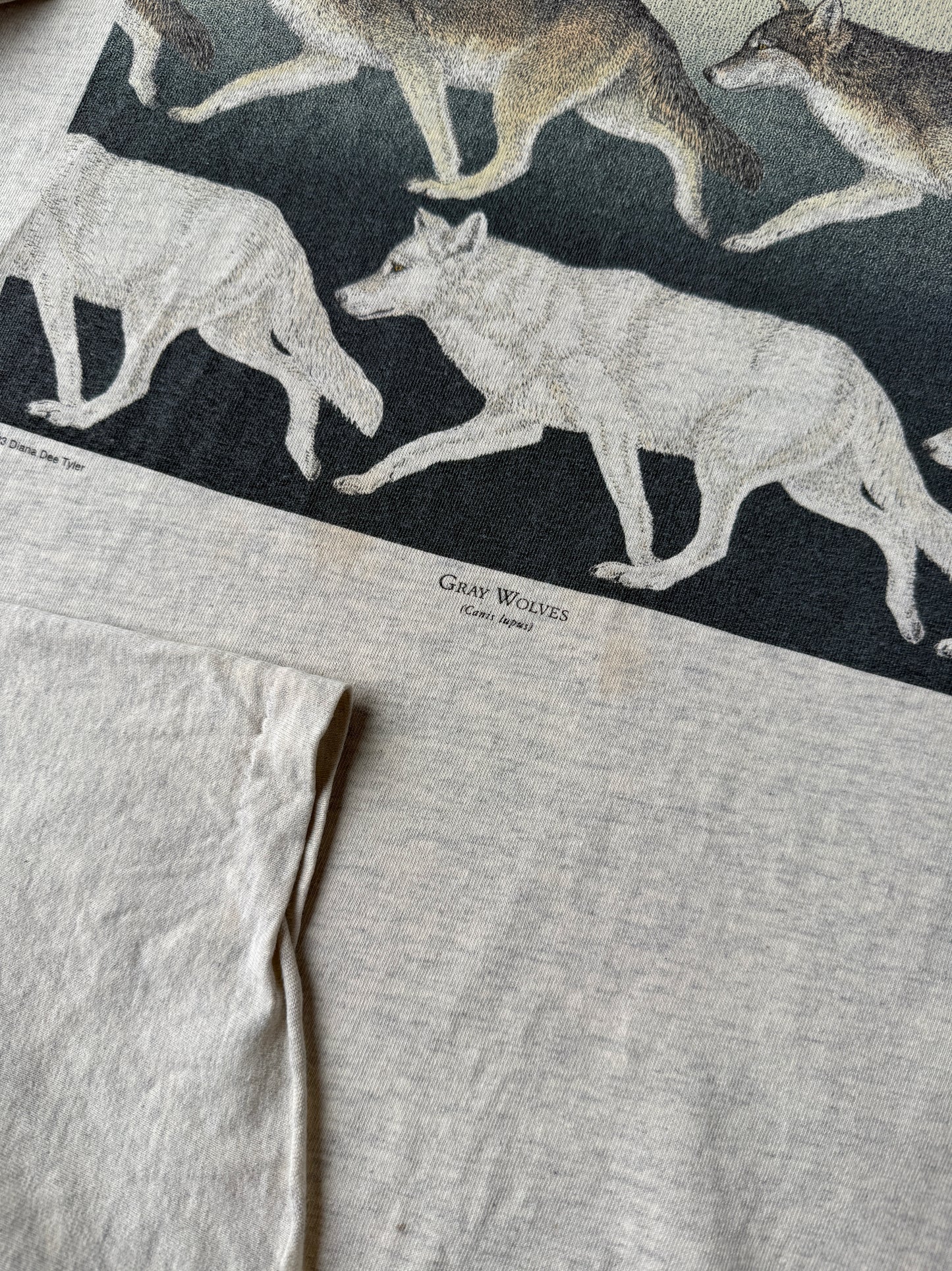 Gray Wolves T-Shirt '93 - XL