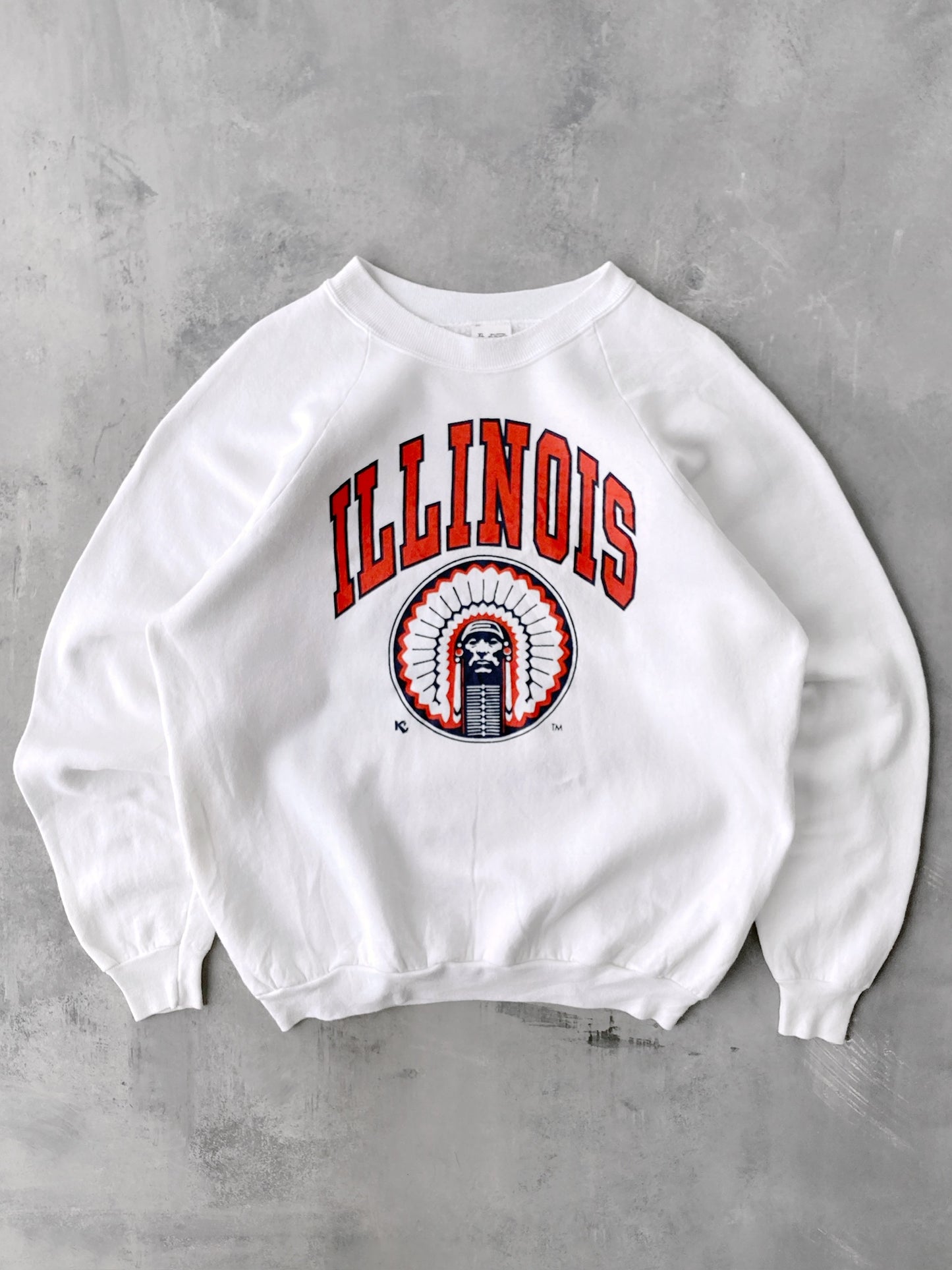 University of Illinois Crewneck 80's - XL