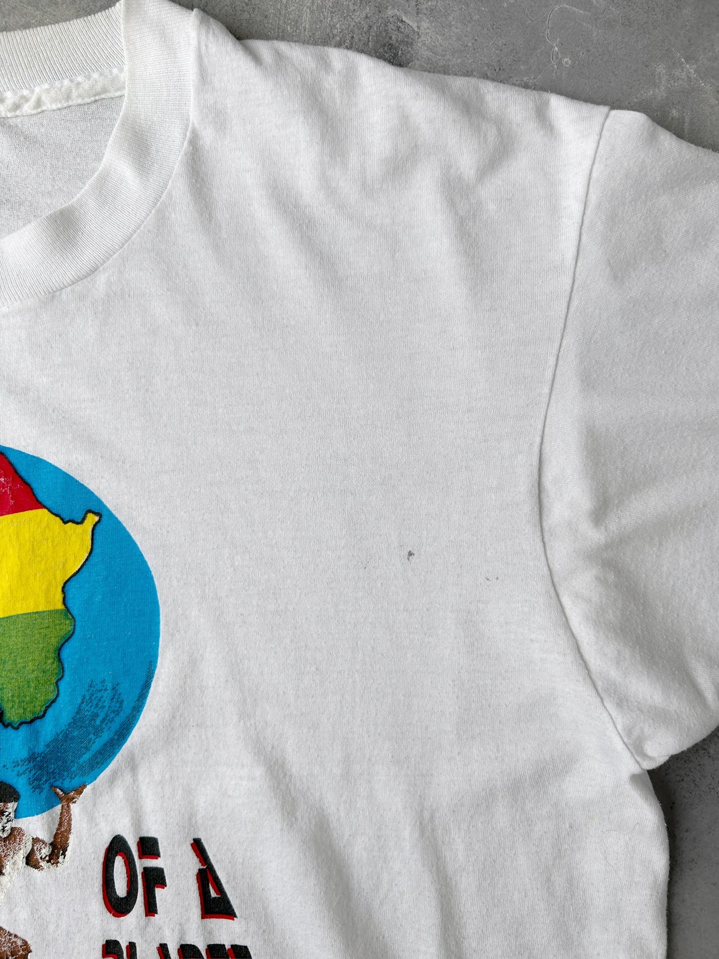 Fear of a Black Planet T-Shirt 80's - Large