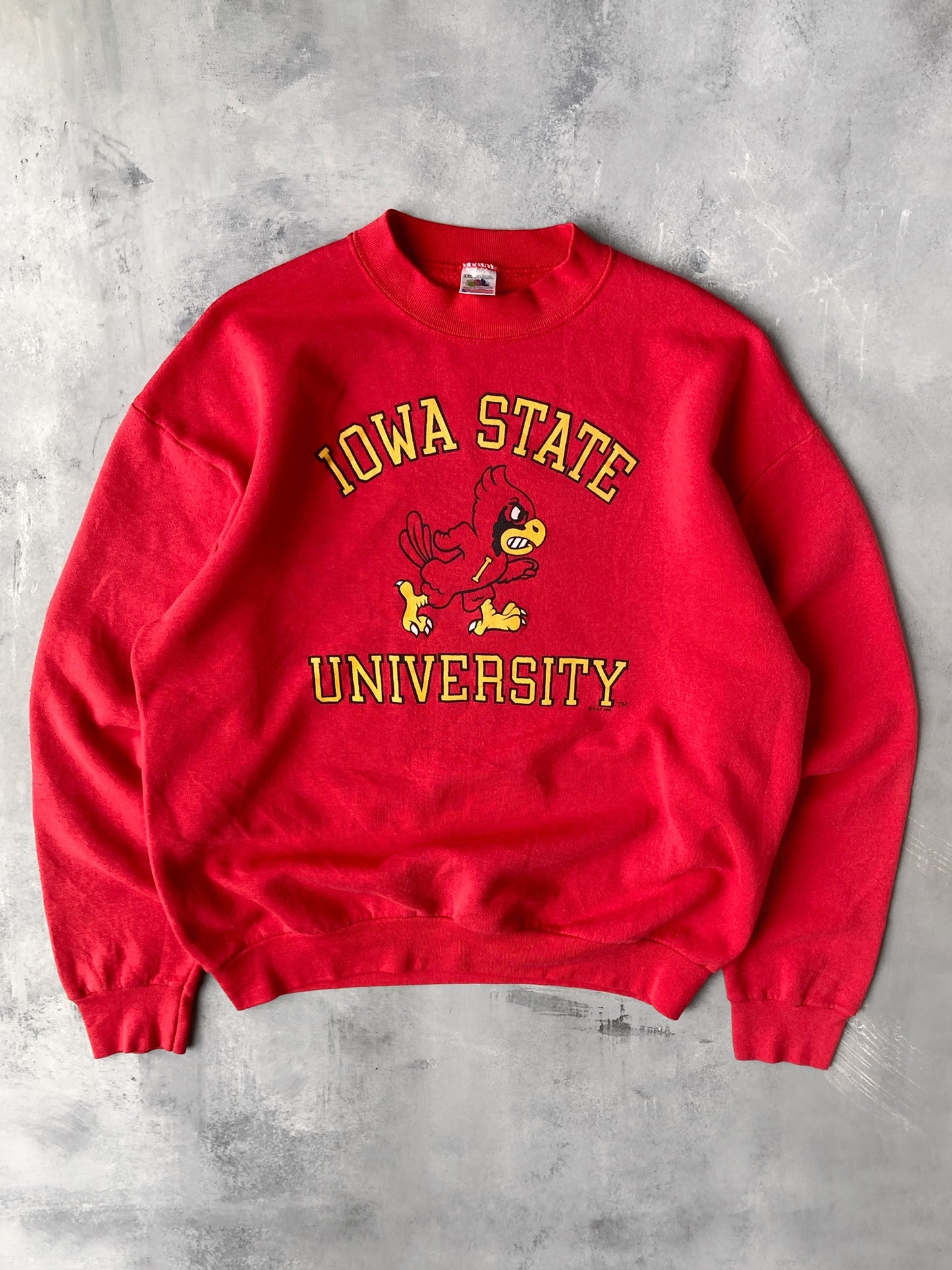 Iowa State University Sweatshirt '92 - XL