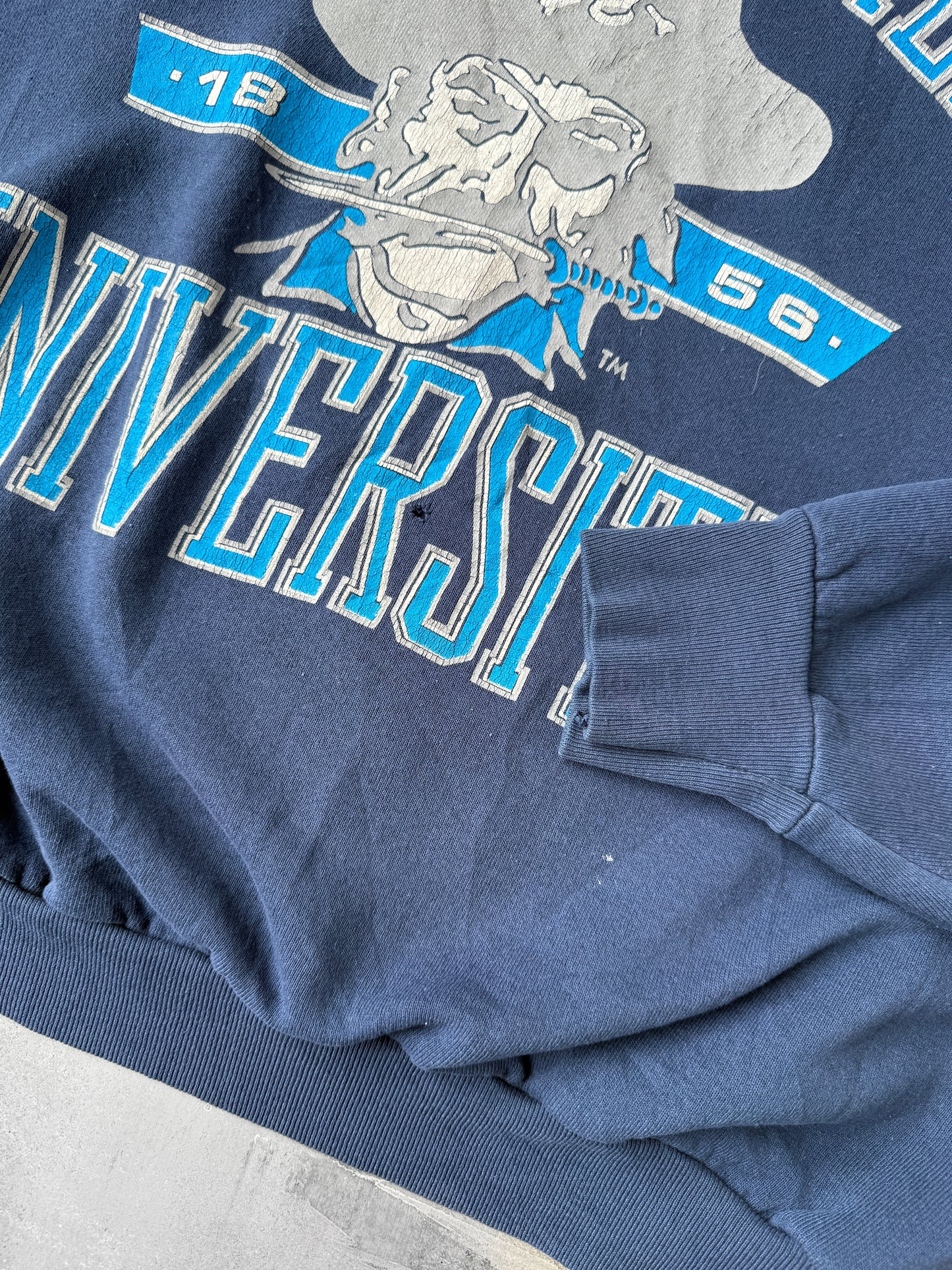 Seton Hall University Sweatshirt 90's - Large
