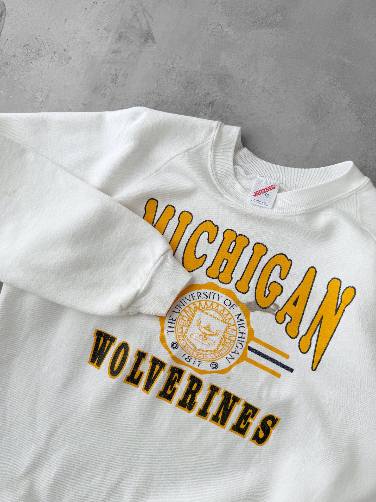 University of Michigan Sweatshirt 90's - Medium