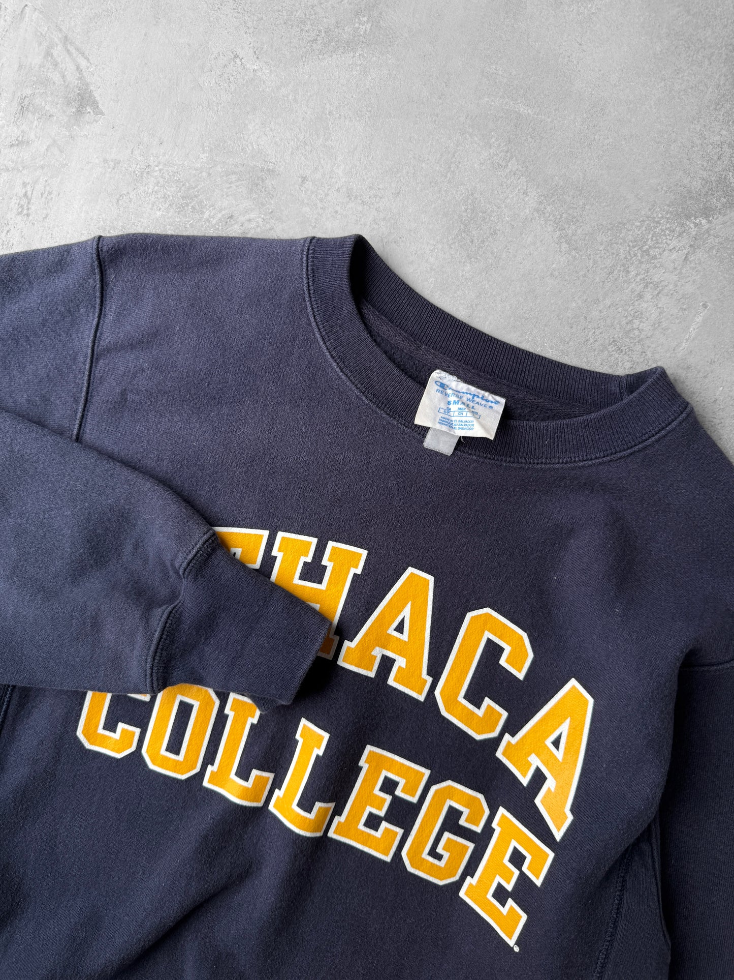 Ithaca College Sweatshirt 00's - Small