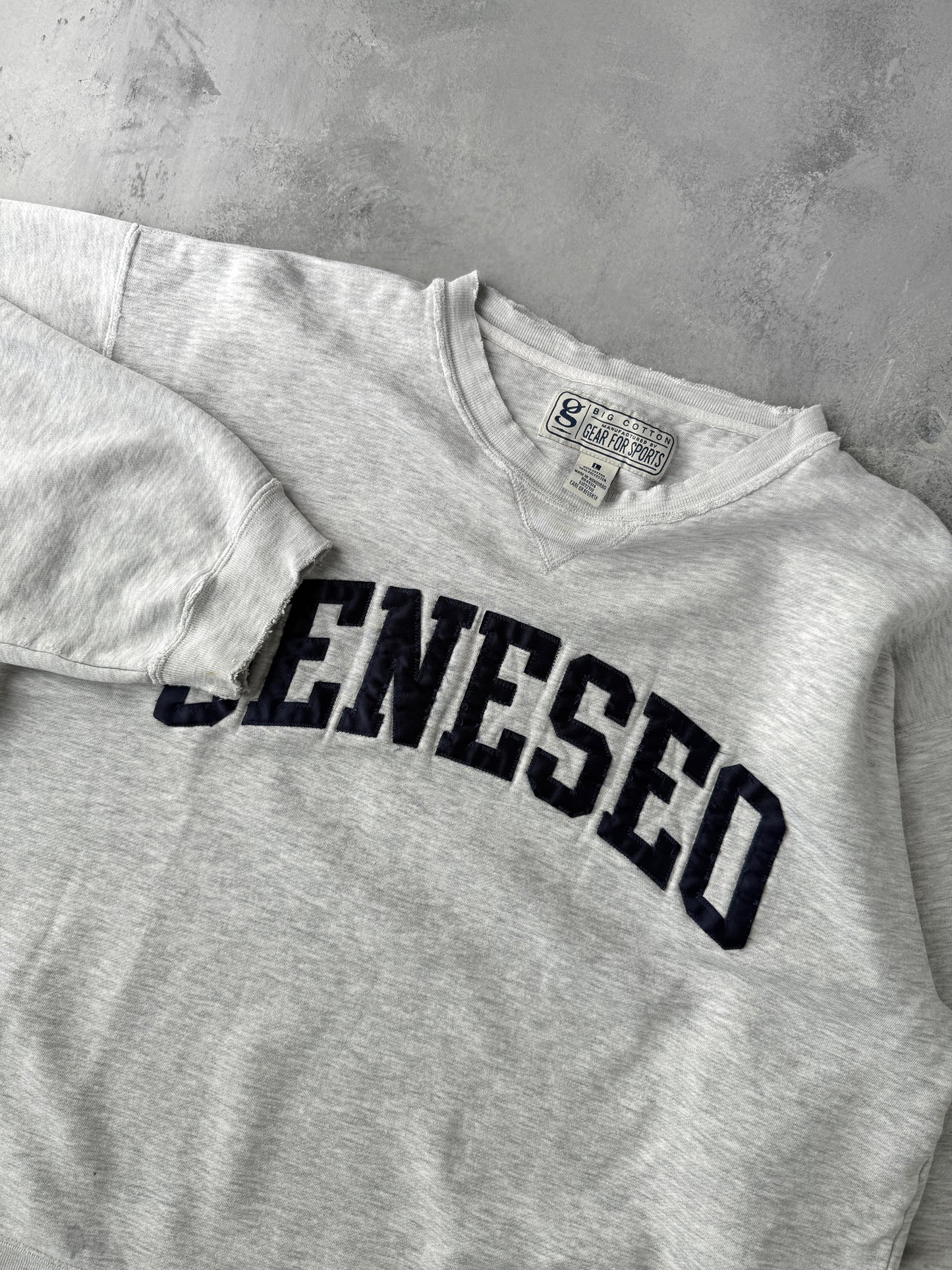 Distressed Geneseo Sweatshirt 90's - Large