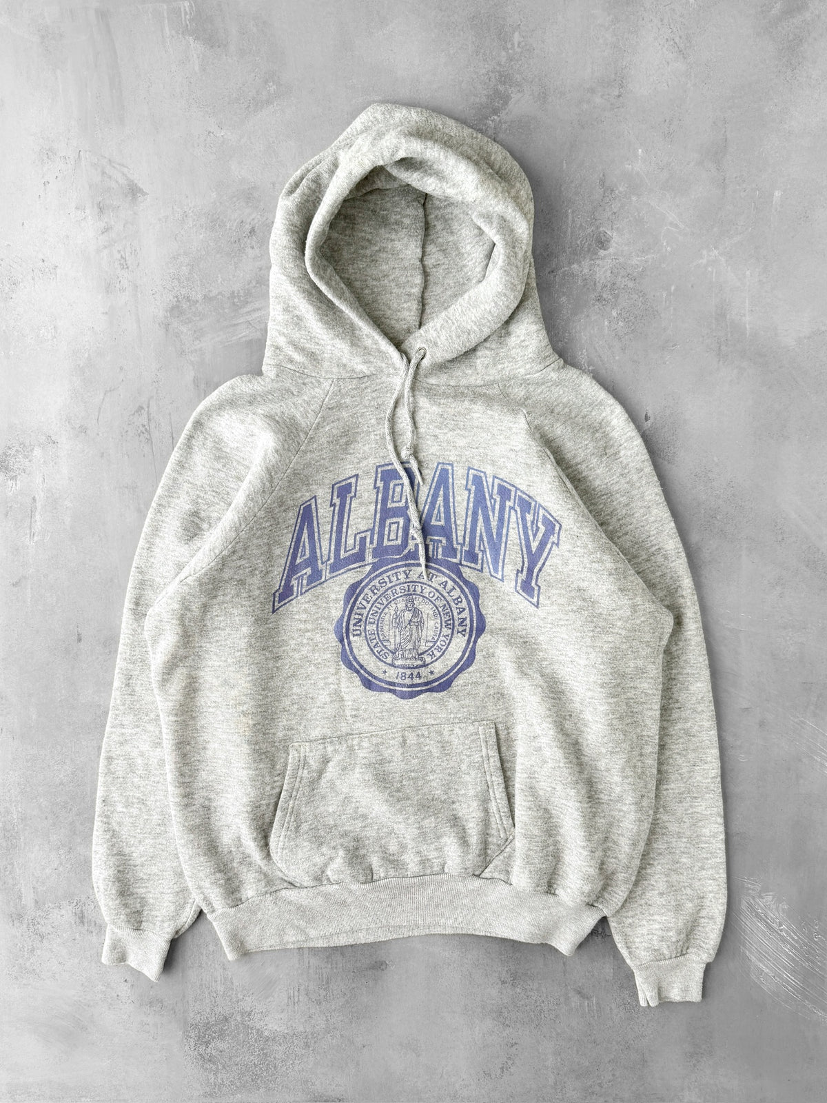 SUNY Albany Hoodie 90's - Large