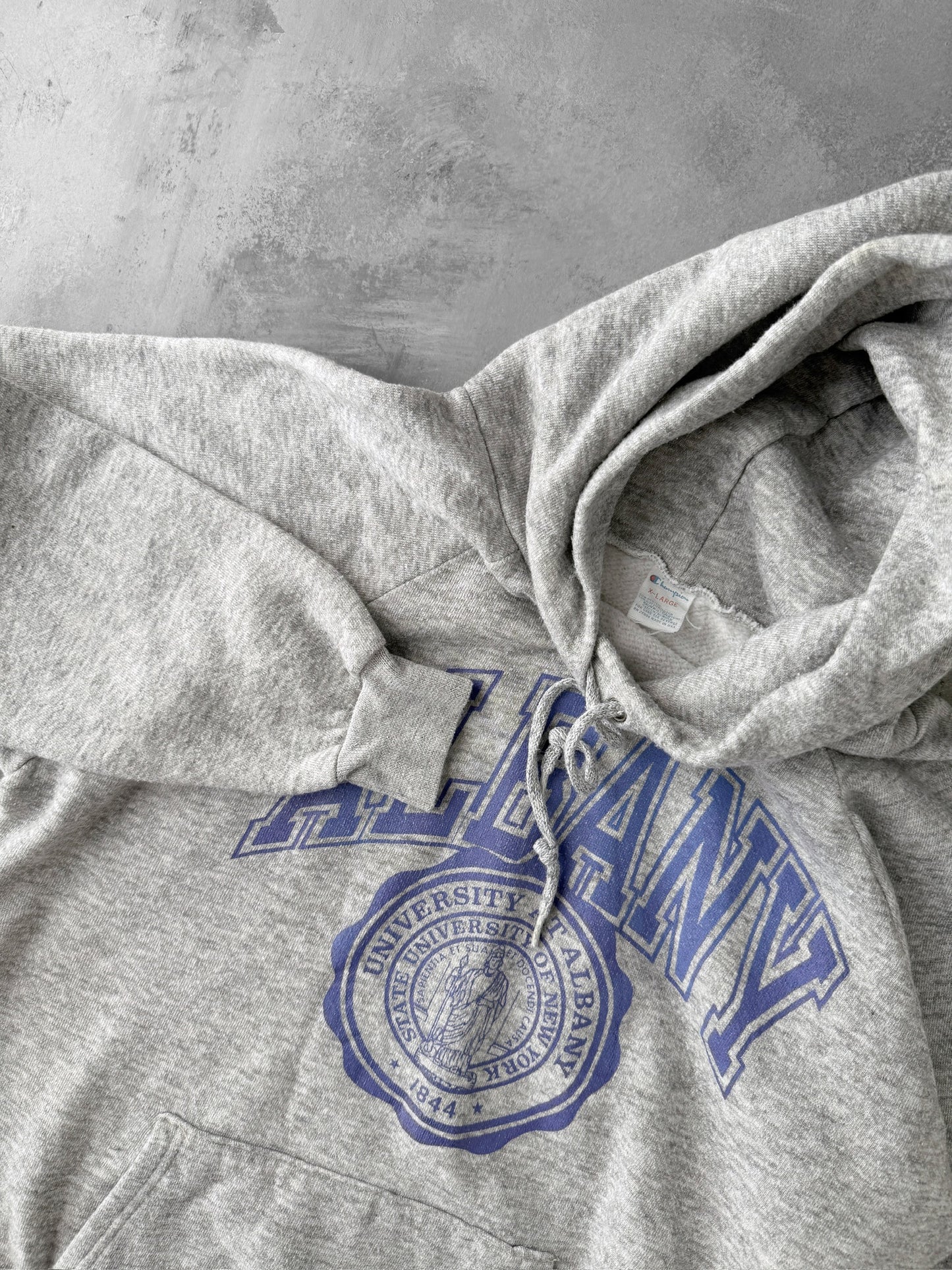 SUNY Albany Hoodie 90's - Large