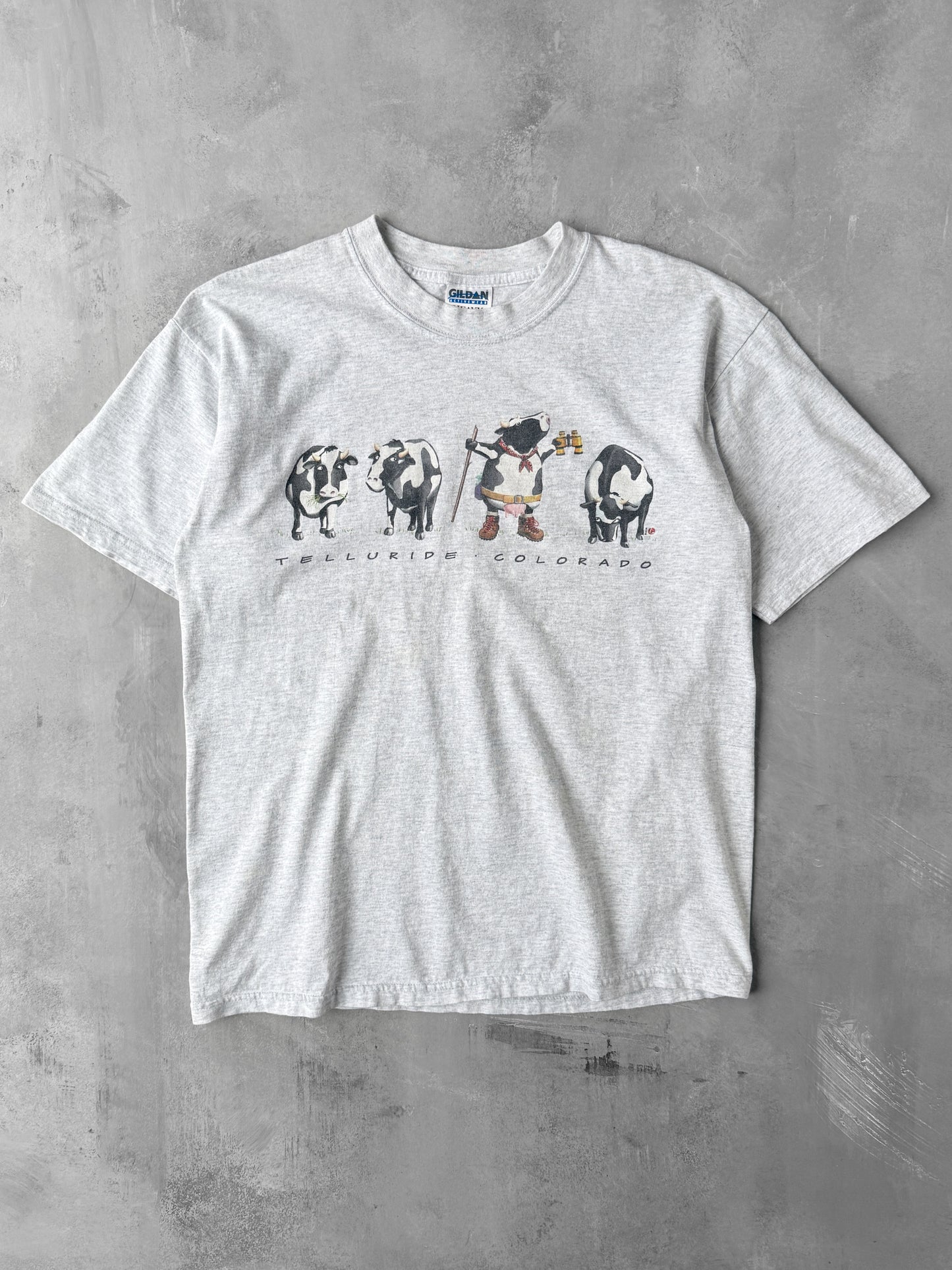 Telluride, CO T-Shirt Y2K - Large